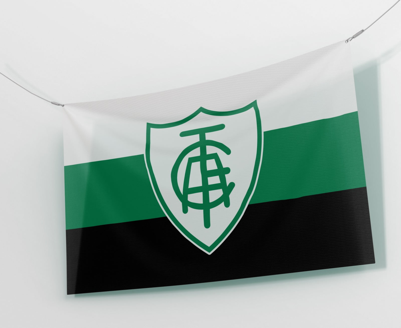 América Futebol Clube (Belo Horizonte), Logopedia